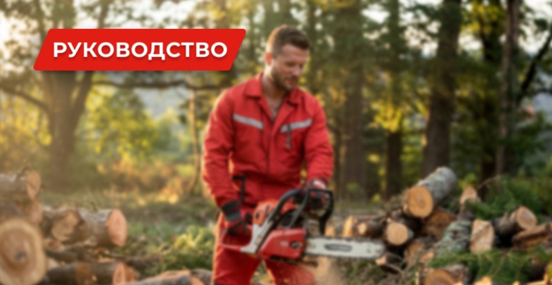 Какую цепную пилу выбрать: аккумуляторную, бензиновую или электрическую