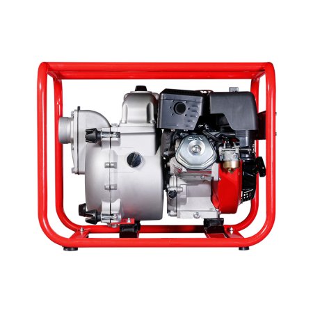 FUBAG Бензиновая мотопомпа для сильнозагрязненной воды PG 1300 T в Нальчике фото