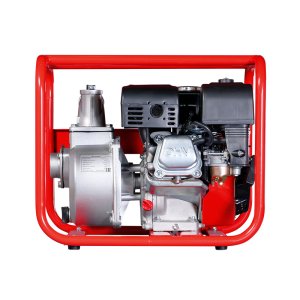 FUBAG Бензиновая мотопомпа для чистой воды PG 600 в Нальчике фото